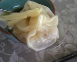 A picture of step 9 of Easy Xiaolongbao - Packed with Collagen.