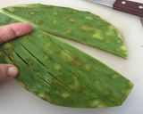 Foto del paso 2 de la receta: Nopales asados