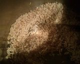Foto del paso 2 de la receta: Croquetas de Arroz