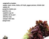 Foto langkah ke 4 dari resep Tumis selada merah dan kentang.