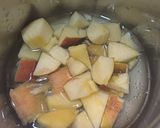A picture of step 1 of Apple stew.