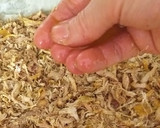 Foto del paso 13 de la receta: Pastela marroquí de pollo