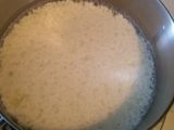 Homemade Ricotta Cheese