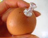 A picture of step 1 of Mystery Egg?.