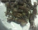 A picture of step 1 of Firefly Squid and Nanohana Corzetti.