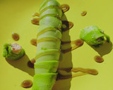 Foto del paso 3 de la receta: Canelón de aguacate relleno de atún