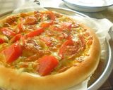 A picture of step 9 of Oil-free Pizza Crust.