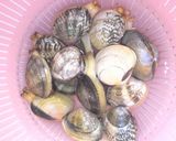 A picture of step 3 of A Surefire Way To De-Sand Manila Clams.