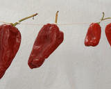 Foto del paso 2 de la receta: Cómo conservar pimientos picantes
