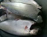 Hình bước làm 1 của món Cá trao tráo kho tiêu
