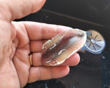 Foto del paso 2 de la receta: Boquerones adobados en vinagre