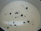 Ice Cream Home Made