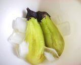 A picture of step 4 of Yuzu Pepper Chilled Pasta with Grilled Eggplant.