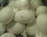 A picture of step 2 of Lil Chicks Deviled Eggs.