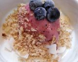 A picture of step 10 of Berry Sorbet.