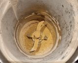 Foto del passaggio 2 della ricetta Biscotti augurali limone e zenzero