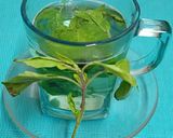 A picture of step 2 of Tulsi Water (Holy Basil / Indian Basil).