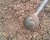 A picture of step 3 of Atta Ladoo.