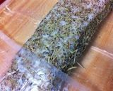 A picture of step 6 of Homemade Pancetta.