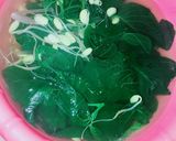Foto langkah ke 4 dari resep Sayur Bening Kencur.