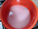 كريمة الجوزية