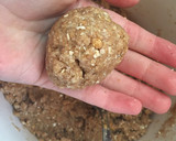 Foto del paso 5 de la receta: GALLETAS INTEGRALES 🌾