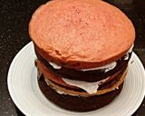 A picture of step 22 of Neapolitan Layer Cake.