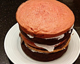 A picture of step 22 of Neapolitan Layer Cake.