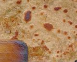 A picture of step 8 of Bottle gourd/Lauki - Stuffed Parantha.