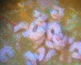 Foto del paso 5 de la receta: Arroz de camarón