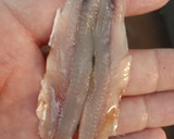 Foto del paso 1 de la receta: Boquerones en Vinagre