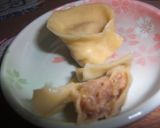 A picture of step 20 of Homemade Gyoza Skins with Egg & Cake Flour.