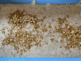 Budín de Banana integral 🍌