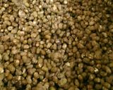 A picture of step 2 of Green Gram Snack (Sukhiyan/Mothakam).