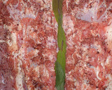Foto del paso 6 de la receta: Silla de cordero rellena al horno