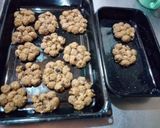 Foto del paso 3 de la receta: Galletitas (frutigran) de harina integral, avena y pasas 🍪