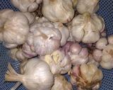 عکس مرحله 1 از دستور سیرترشی