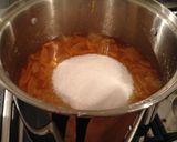 A picture of step 9 of Marmalade.