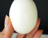 A picture of step 9 of Mystery Egg?.