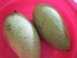 Manisan Mangga Muda
