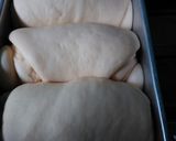 Foto langkah ke 6 dari resep Milky bread versi roti tawar.