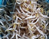 Foto langkah ke 3 dari resep Tumis Tauge + Tahu.