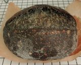 Foto langkah ke 22 dari resep Charcoal Sourdough Bread (Open Bake Method - Oven Tangkring).