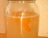 A picture of step 9 of Mandarin Orange Yeast.