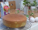 A picture of step 16 of Sponge Cake.