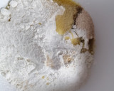 Foto del paso 1 de la receta: Bollitos sin gluten