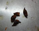 A picture of step 13 of A Chef's Recipe for Chinese-style Chestnut and Chicken Stir-fry with Star Anise.