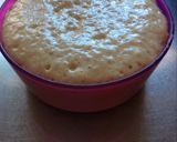 Foto del paso 1 de la receta: Masa básica pizza