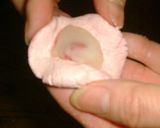 A picture of step 5 of Flower Viewing Mochi Dumplings.