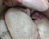 Foto langkah ke 1 dari resep Ikan Nila Goreng Bumbu Acar.